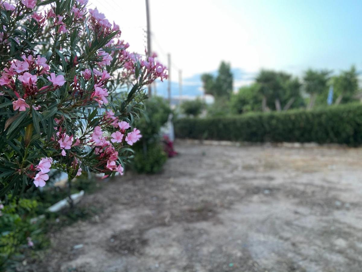 Athens Riviera: 2 Bed / 3' Walk From The Beach Agia Marina  Ngoại thất bức ảnh
